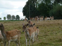 Herbstlager 2012