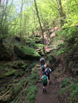 Wanderung durchs Butzerbachtal 2018