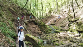 Wanderung durchs Butzerbachtal 2018