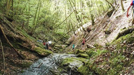 Wanderung durchs Butzerbachtal 2018