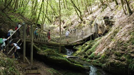 Wanderung durchs Butzerbachtal 2018