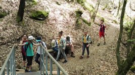 Wanderung durchs Butzerbachtal 2018