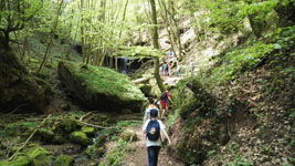 Wanderung durchs Butzerbachtal 2018