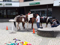 Flohmarkt zur VorTour der Hoffnung 2018