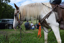 Klausenwallfahrt 2019